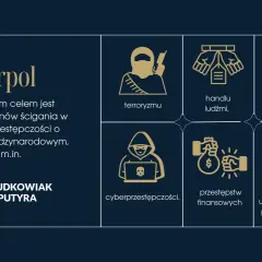 Interpol zwalcza terroryzm, handel ludźmi, narkotykami i bronią, cyberprzestępczość, przestępstwa finansowe i poszukuje osób ukrywających się za granicą, co stanowi międzynarodową sankcję.